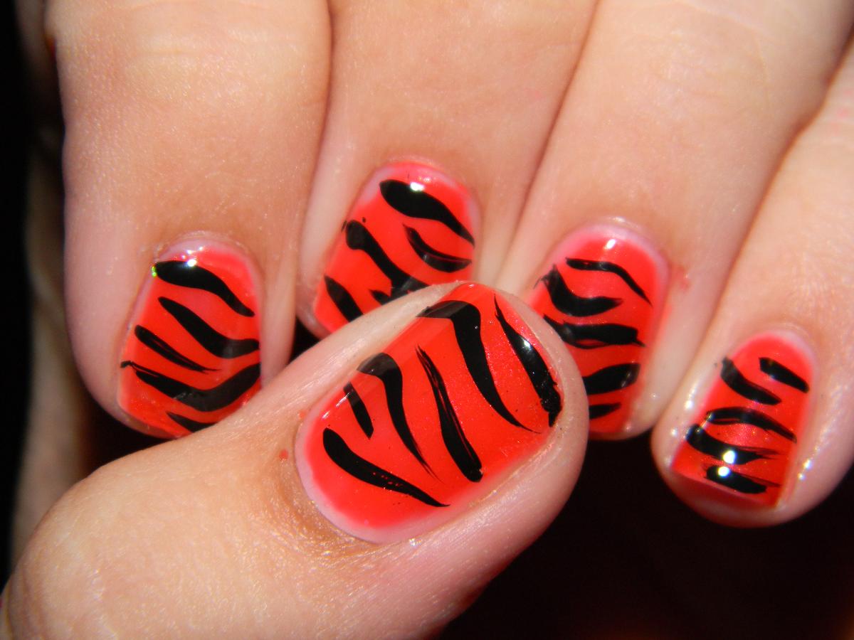 Mind-blowing Zebra Stripped Patterns
