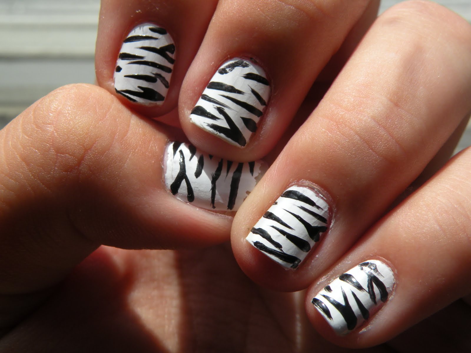 Random Black Stripes on White Background